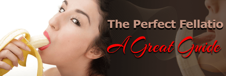 fellatio, the perfect fellatio, oral sex, great guide to oral sex, sexy blogs, couples blogs, sexual blogs