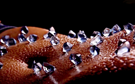 1471483-bigthumbnail